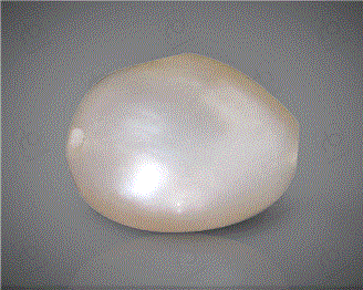  Pearl (Real) 1.65CTS-31041